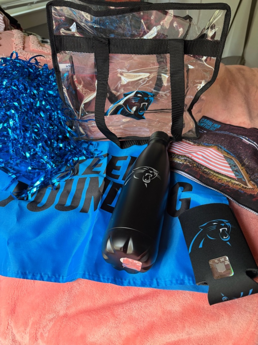 Carolina Panthers Clear Tote with Black Water Bottle and Blue Accessories